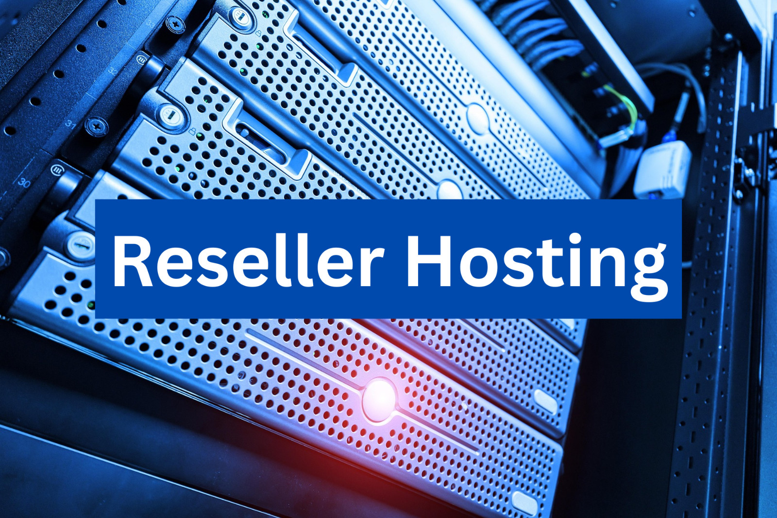 Reseller Web Hosting